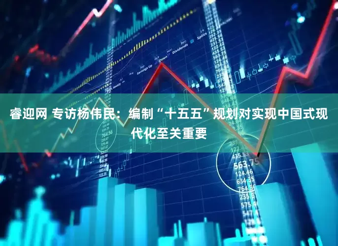 睿迎网 专访杨伟民：编制“十五五”规划对实现中国式现代化至关重要