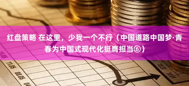 红盘策略 在这里，少我一个不行（中国道路中国梦·青春为中国式现代化挺膺担当⑥）