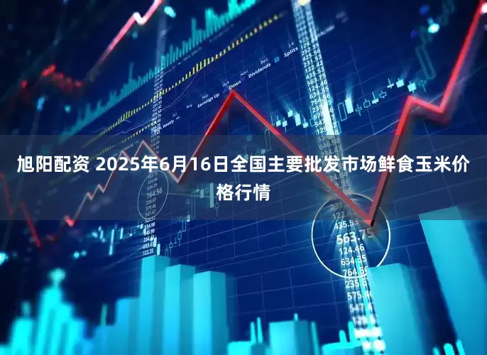 旭阳配资 2025年6月16日全国主要批发市场鲜食玉米价格行情